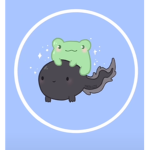 Żapki