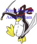 Ninja Penguin Assualt Team