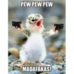 pew pew chick squad