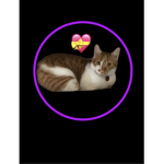 Kittens geography
