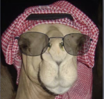 هلو حياك ادخل القروب