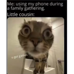 VibesBtw