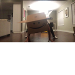 Amazon fans