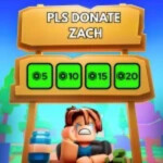  PLS DONATE ZACH💸