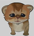 itsdoge