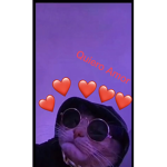 Ręæpęr