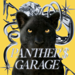 Lets go panthers