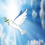 Gospel of Christ