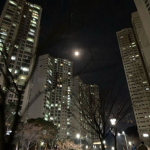 lol우리의_달콤한우정과추억