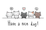 Cute Little Kitten Group