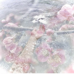 ୨ৎ