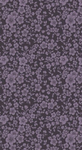 Träume