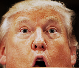 *UPDATE* Trump Empire!!!