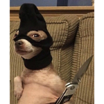 Murder dogs~*