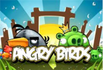 Angry Birds Fan's