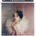 Melanie Martinez fan grup