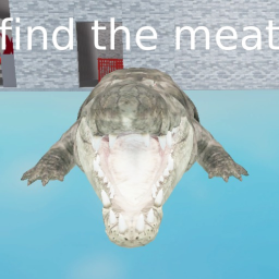 Find the meat