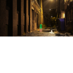 Alley Cactus FTW