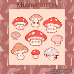 •*+mushlers+*•