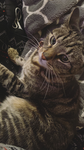 Natalie ?