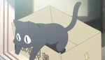 !Cats tail cavern!