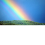 The rainbow flag