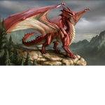dragons union