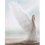 •||•little angels•||•