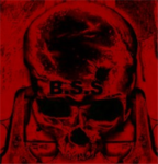 *B.S.S*