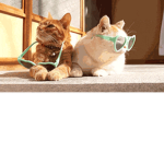 Space unikitties