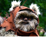 Ewok warriors