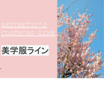 Aesthetic's Clothing Line