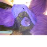 TheFurrySqaud