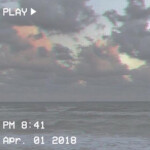 ╭・🌿˚ · . ╭・🌿˚ · .