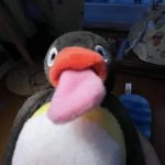 Silly Penguin
