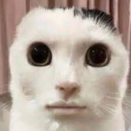 goofy cat Roblox decal