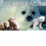 ✋ Stop Animal Abuse ✋