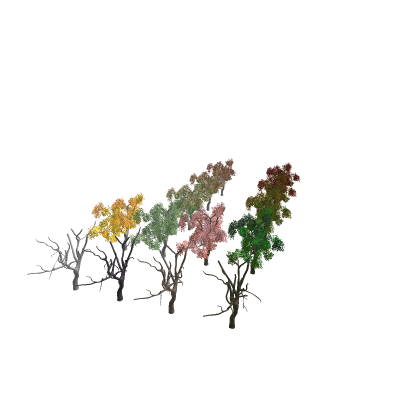 Amazing Trees