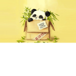 pandusię!