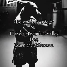 Haymaker valley icon