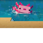 Community of Axolotls