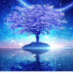Night moon Group