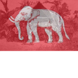 Siamese Training Ground|Laos 1865