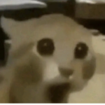 Un_grupito_ramdom