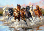 Autumn Hooves Horse Club
