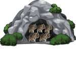 The Raccoons Cave