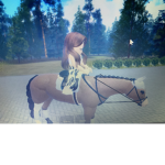 Sunshine Horse Club