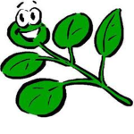 Plants of awaking