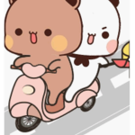 The cuteie bears