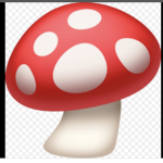 JULIs MUSHROOMS